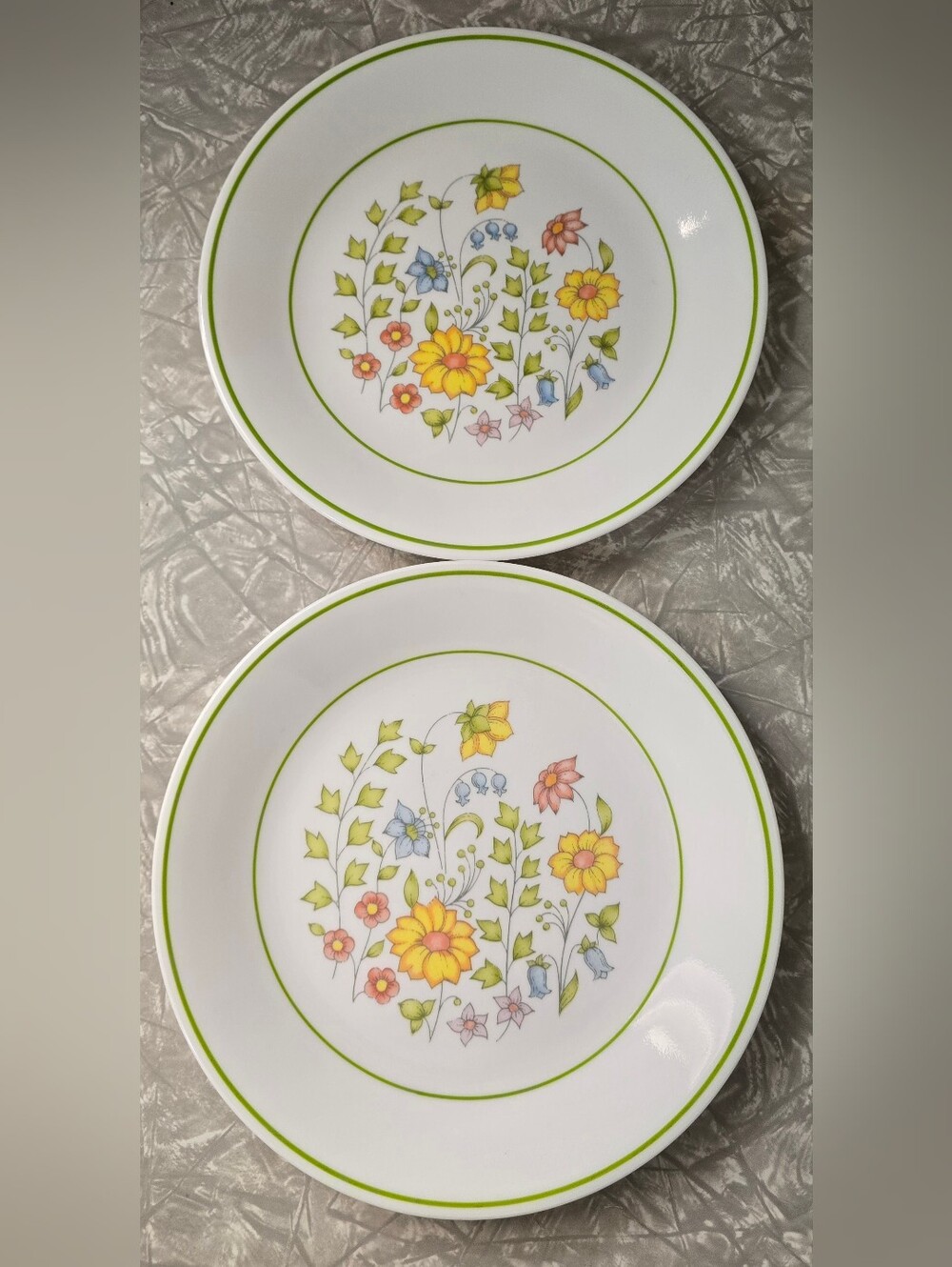 Corelle Spring Meadow Luncheon Plates Set Of 2
